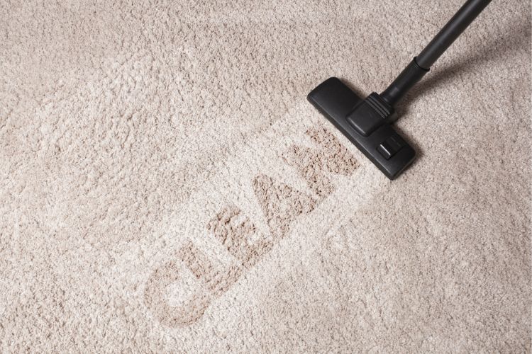 cara membersihkan karpet featured image