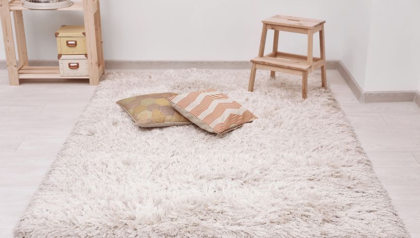 membersihkan karpet bulu featured image