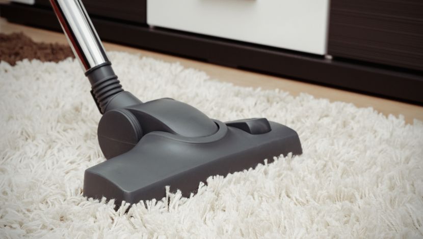 membersihkan karpet bulu hilangkan kotoran dengan vacuum cleaner