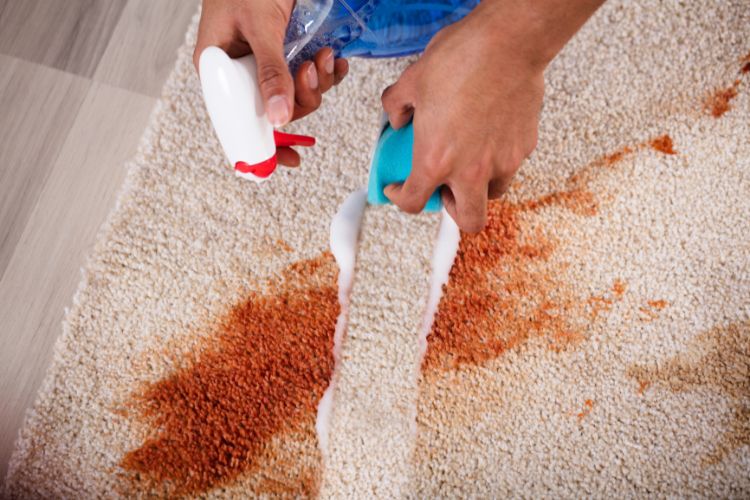 step 3 merawat karpet pembersihan noda tumpahan