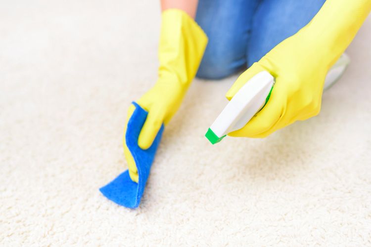 step-5-membersihkan-karpet-aplikasikan-cairan-pembersih step 5 membersihkan karpet aplikasikan cairan pembersih