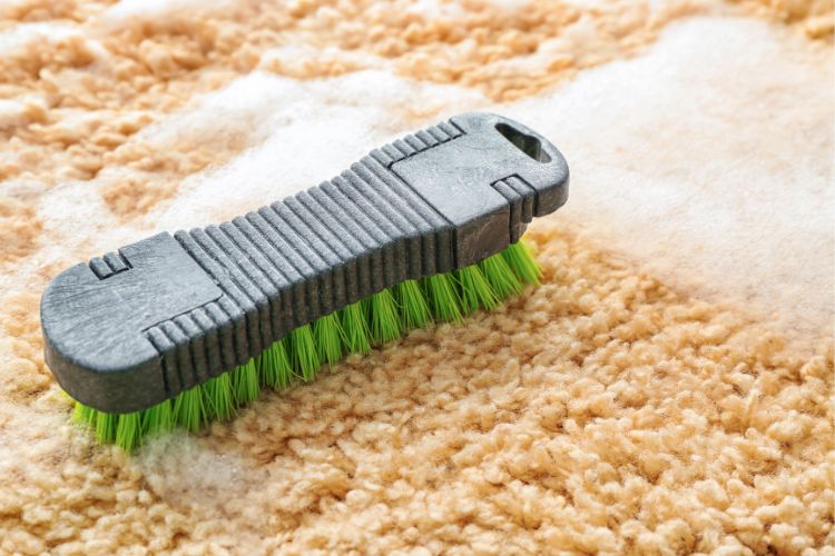 step-6-membersihkan-karpet-sikat-lembut step 6 membersihkan karpet sikat atau gosok dengan lembut
