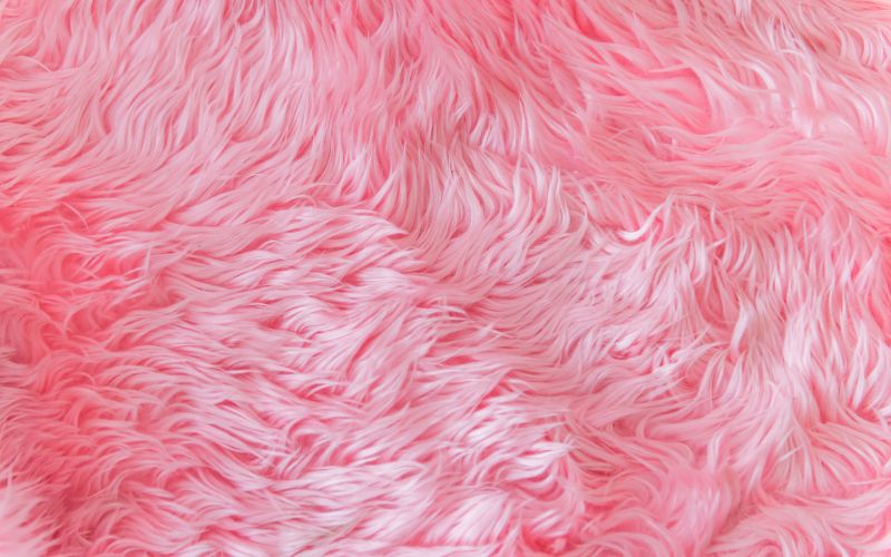 harga jasa cuci karpet bulu