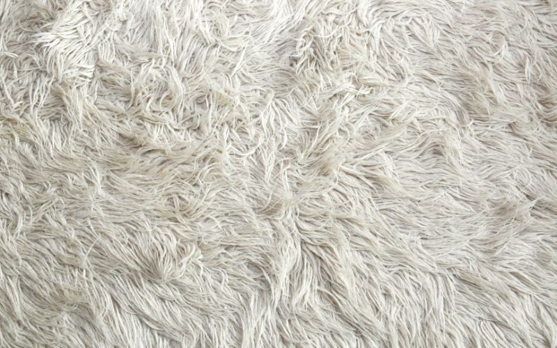 jenis karpet wol