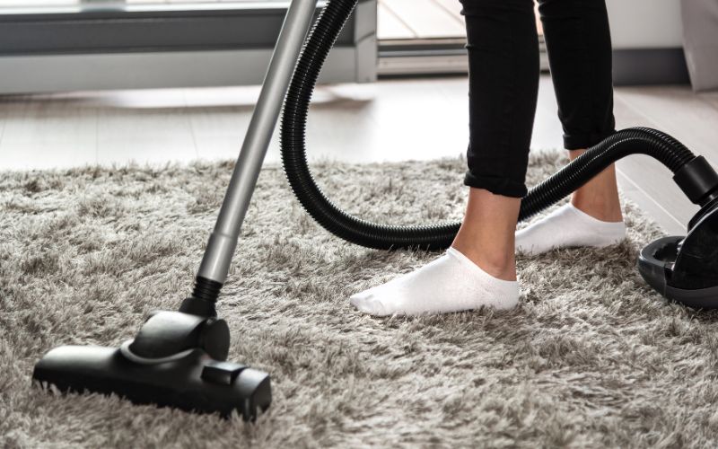 alat-bahan-mencuci-karpet-berbulu-panjang alat dan bahan cara mencuci karpet berbulu panjang