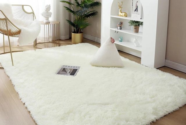 karpet bludru